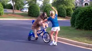 Norman Rides a Bike