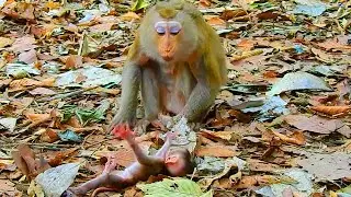 Hard to see newborn Kendra unable to walk coz her legs are weak, Kendra hand up ask mom for help her