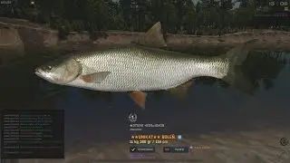 Fisher Online -  Russia: r. Pra ASP Trophy