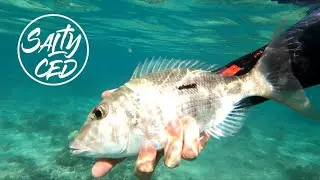 Catch and Release inside the lagoon