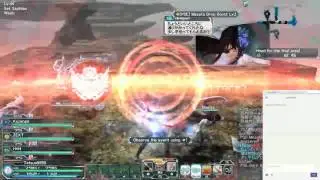 PSO2 daily quest grinding.
