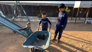 مقرن يتمشا في صيصانه الجديده 😂🙆🏻‍♂️
