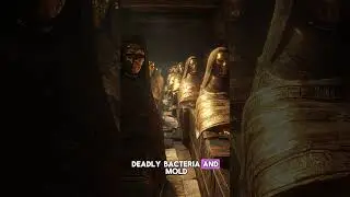 The Mummy&rsquo;s Curse&mdash;Science or Superstition #ancientegypt #pyramids #egyptianhistory #history #tomb