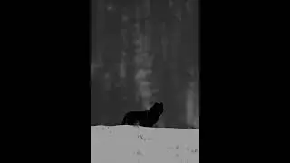 (FREE) Future x Drake Type Beat (HARD) - 