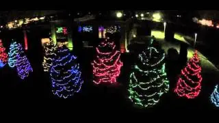 CMG Worldwide Holiday Lights Display