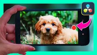 Как выполнить цветокоррекцию видео, снятого на телефон &mdash; для полных новичков