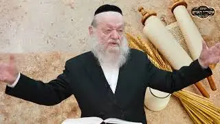 תורה מהי? - הכנה לחג השבועות | הרב יוסף צ. בן פורת
