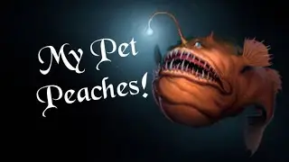 My pet Anglerfish