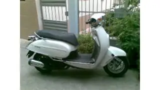 sachs amici