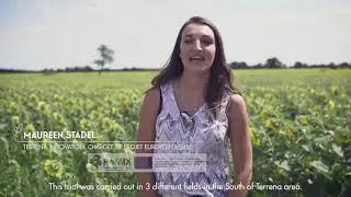 Crop Mixtures: a way to reduce herbicides. ReMIX Wheat Lentil Trial.