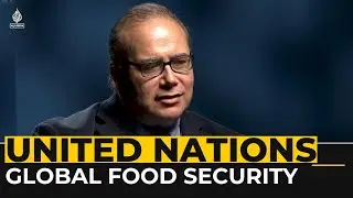 UN economist examines crucial factors shaping global food security
