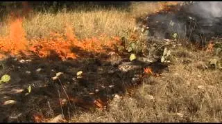 Josh Hinkle - Wildfires