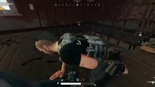 Dinner
