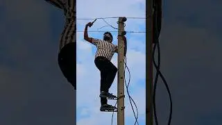 Złącze kablowe LT Line || #ytshorts #liniowiec #elektryk #top