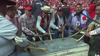 2025 Ute Proud Halftime Performance