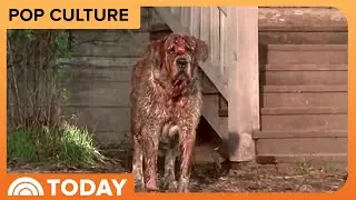 Stephen King's 'Cujo' set to return to big screen in Netflix remake