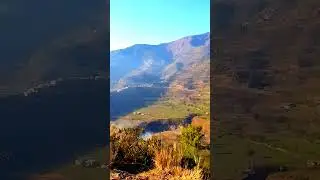 #hometown#martung#shangla #nature #viral #viralvideo #youtubeshorts #youtubevideos #trending#shorts