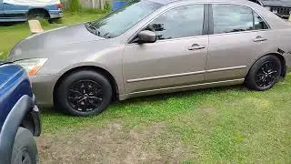 Chemical guys ceramic butter 🧈 wet wax adds insane gloss on brown paint 