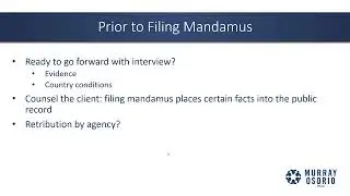 Leveraging Writs of Mandamus to Address Immigration Backlogs