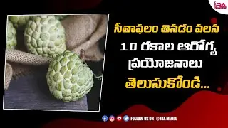 Uses And Benefits Of Custard Apple || IRA HEALTH