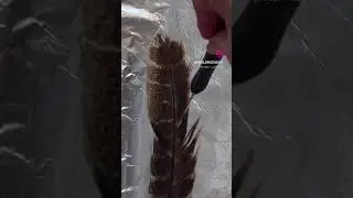 #wipartwork #feather #technique #encaustic #photojenicstudio24 #featherart #encausticart #skills