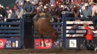 Stormy Wing rides Red Dawn for 90.5 points