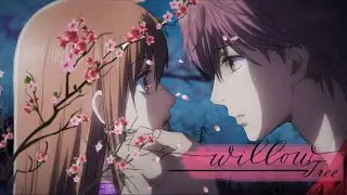Chihayafuru | Chihaya x Taichi || AMV - Willow Tree