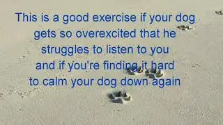 Jumpy to calm - Arousal Mobility exercise for overexcited dogs