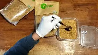 Yupik Organic Golden Flax Seeds, 2 2 lb, Non GMO, Vegan, Gluten Free - Good stuff!