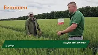 Fenomen - najpopularniejsza ostka w Polsce!