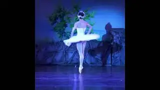 &ldquo;Skylar Brandt in &ldquo;Swan Lake&rdquo;  #ballet #skylarbrandt #swanqueenballet #ballerina #swanlake #swanlak