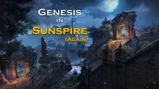 Genesis | Sunspire WR | Warden Tank Builds | 263,467 Score in 16:09