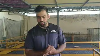 بکریوں کا رہنے کا انداز بدل دیں: جدید Floor Shed System سے پیداوار اور صحت میں اضافہ