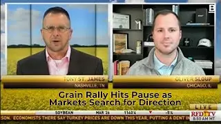 Grain Rally Hits Pause as Markets Search for Direction || Ft. Oliver Sloup