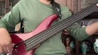 F Bass Fretless bass guitar