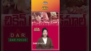 Chicken and Egg Prices Fall in Telugu States | Latest updates | DAR FOCUS #darfocus