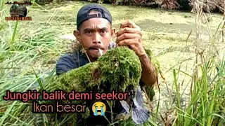 Akhir cerita manusia vs ikan besar||mancing kihung