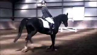 Onze 1e KNHS Wedstrijd op de Iron Horse Ranch!
