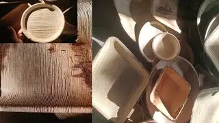 সুপারি পাতার প্লেটে ফাঁঙ্গাস ধরলে কি করনীয় ||৷ arecaplate #সুপারিপাতারপ্লেট