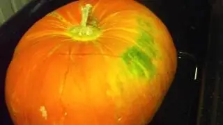 Baking A Whole Pumpkin