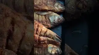 Сочный Язь готовлю только так . Всегда получается #food #shortvideo #рекомендации #food #shots #