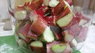 Making a Rhubarb Liqueur