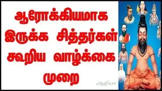 Health Tips in Tamil | Best Food | Tamil Tips | Siddhar Thoughts