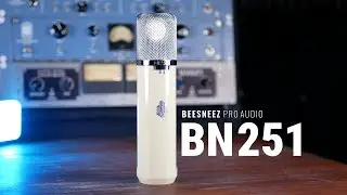 Introducing the BeesNeez BN251 Tube Condenser Microphone