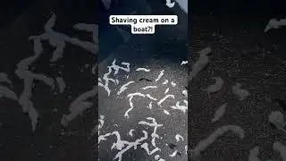 Clean Boat Carpet with Shaving Cream?! #fishing #viral #shorts