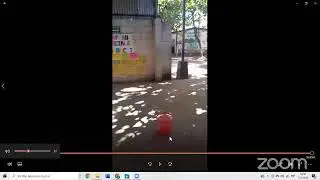 Demostraci&oacute;n Vivencial Virtual Zona Occidental 2022