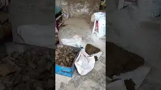 Mini Naswar factory#naswar #deraismailkhan #mybloopers