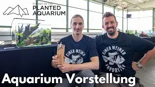 35L Nano Aquascape Vorstellung! 2. Platz TAotPA 2023