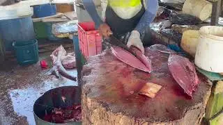 CUTTING MASTER🔥Amazing Fresh Fish Cutting@cuttingmasterOne #fishcutting #fishpreparation