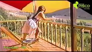 Pisco Capel - El Aut&eacute;ntico Pisco del Valle de Elqui - 1994